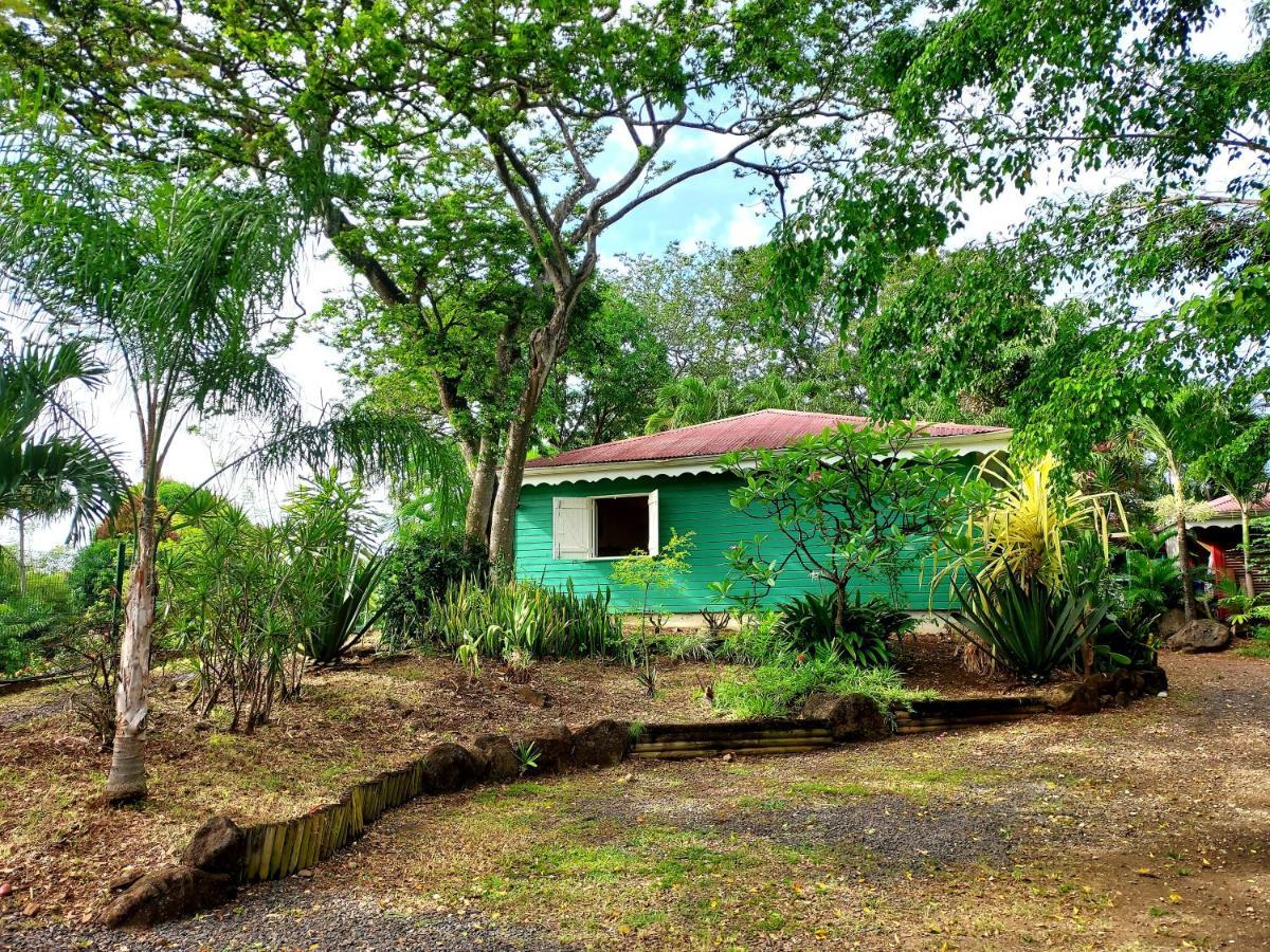 Bungalow Du Jardin Botanique De Deshaies Extérieur photo