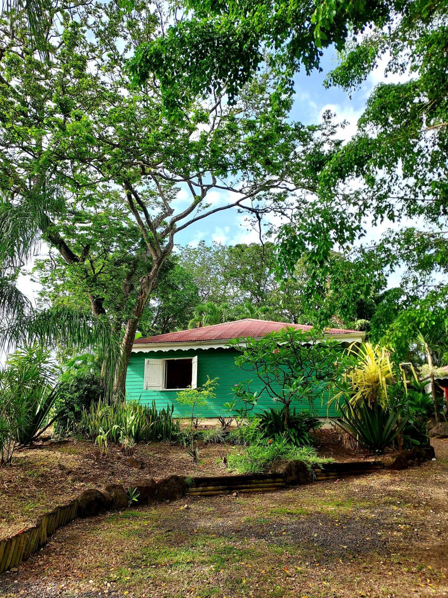 Bungalow Du Jardin Botanique De Deshaies Chambre photo
